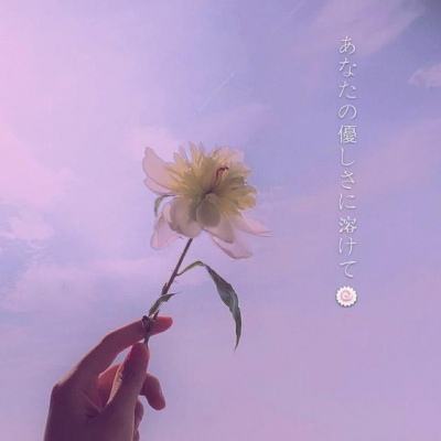 半岛官方下载地址