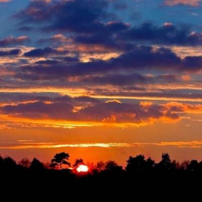 澳门黄金城手机app下载