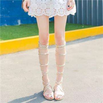 49图库一资料中心下载手机版